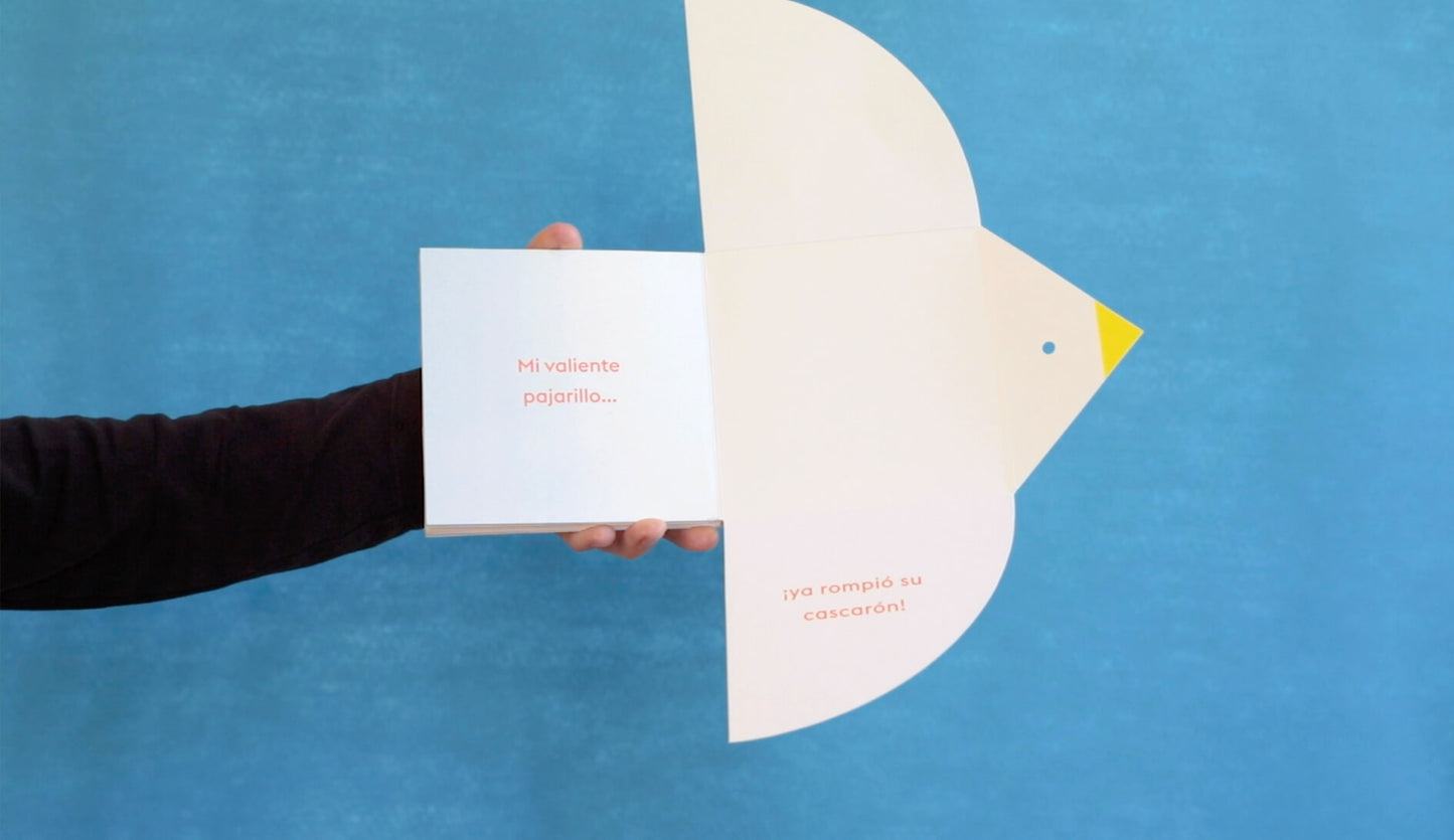 Bienvenida- Marta Comín