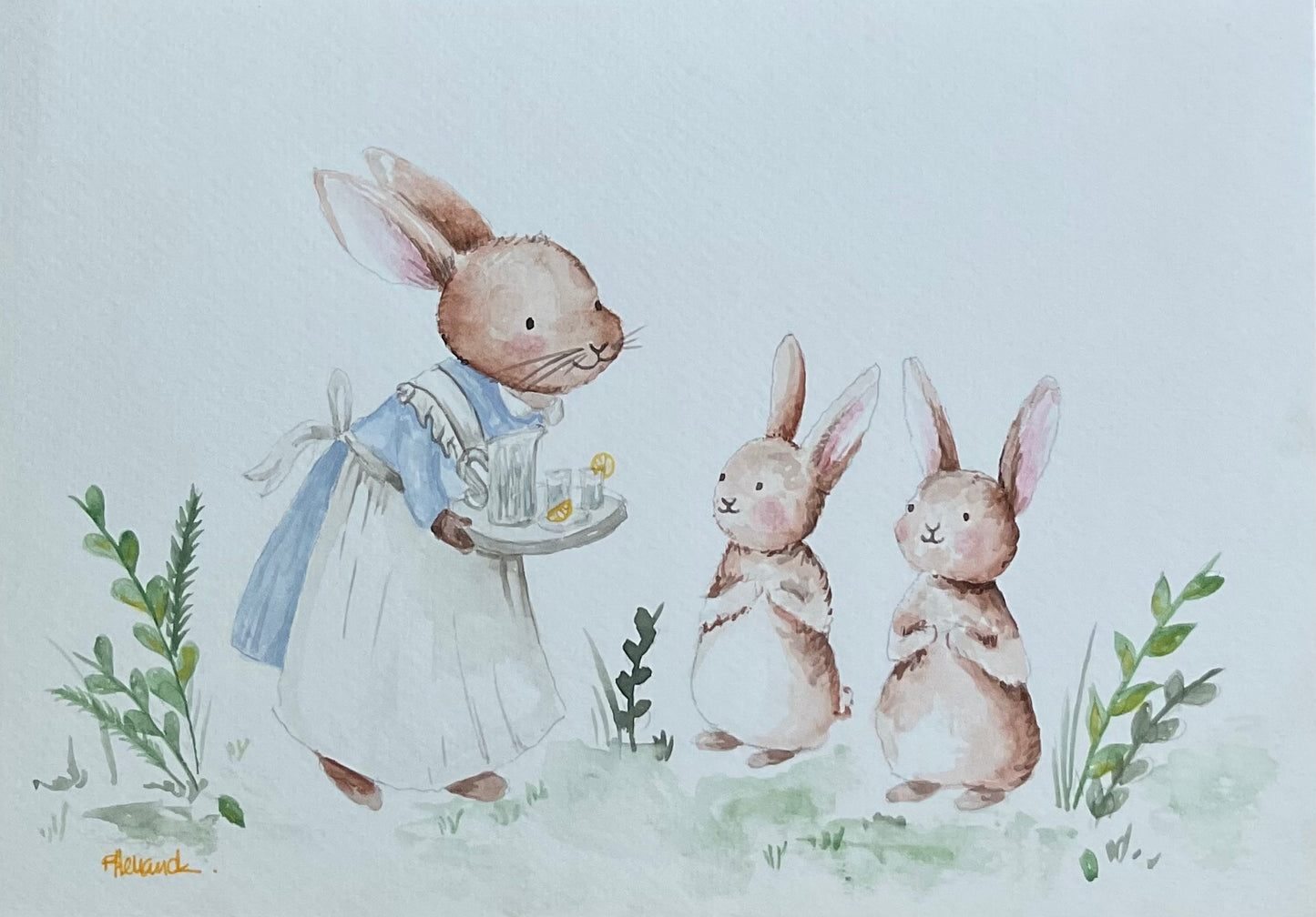 ACUARELA TÉ CONEJITOS