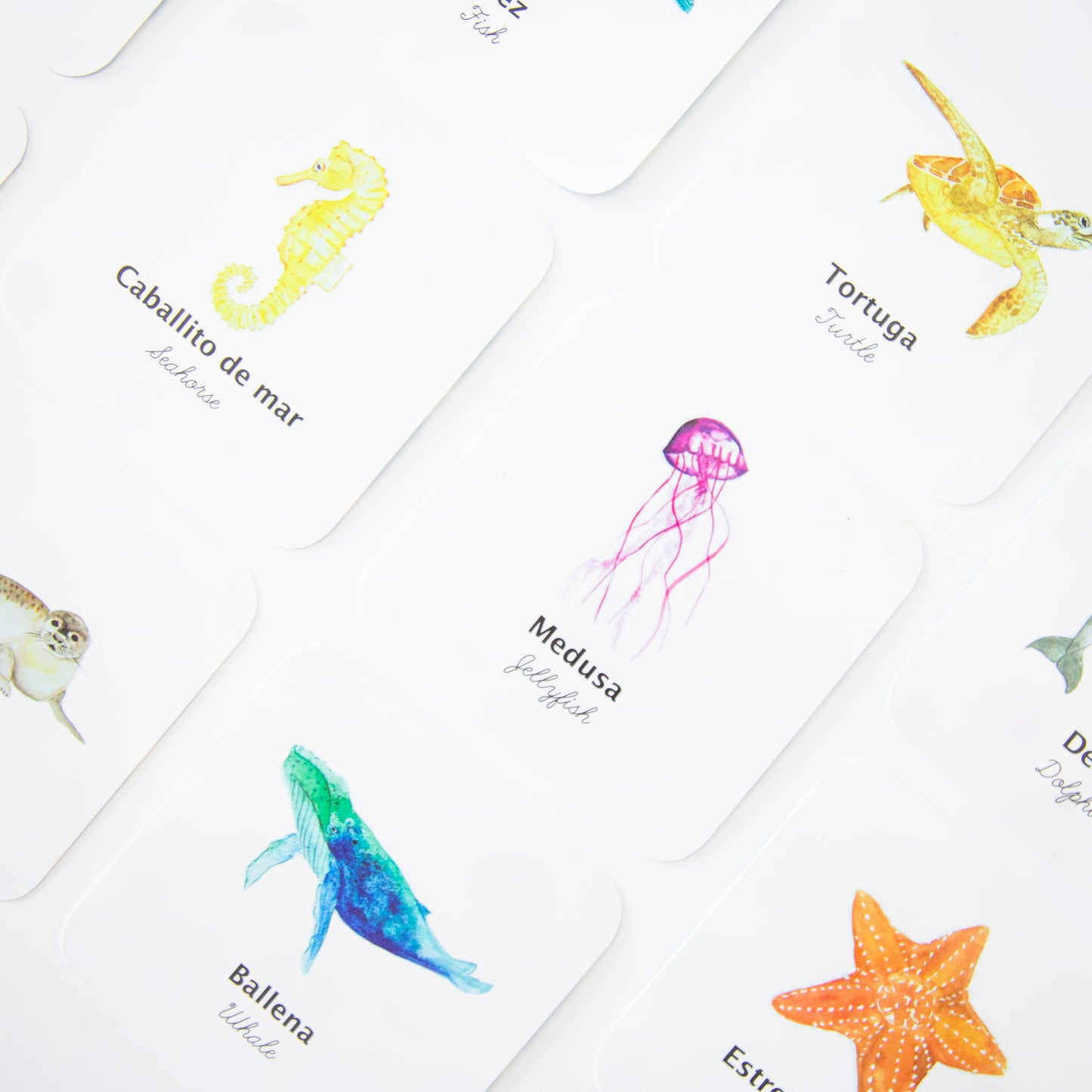 Flashcards Animales del Mar Impermeables