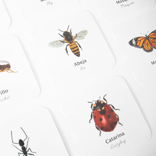 Flashcards Insectos Impermeables