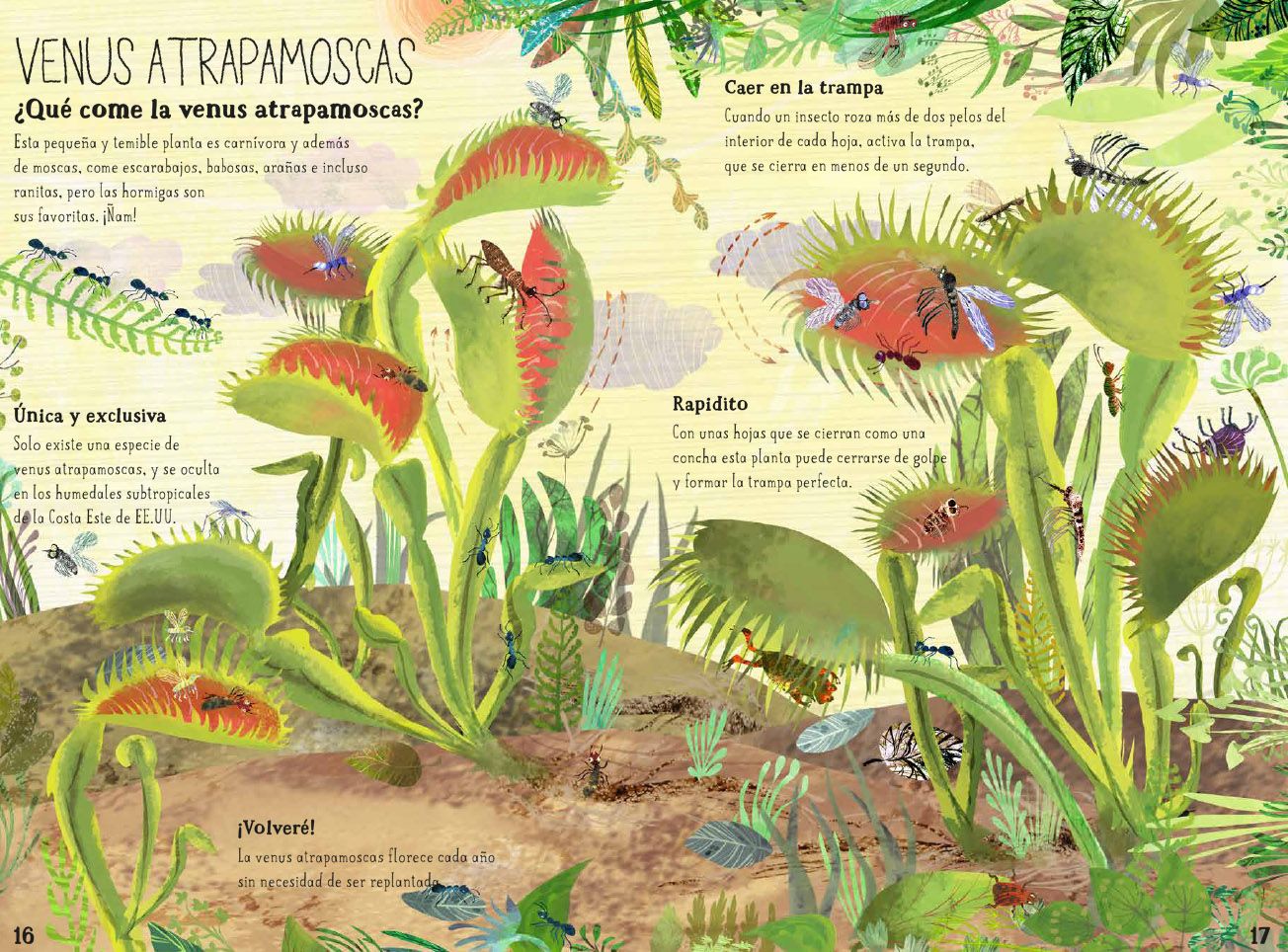 El Gran Libro De Las Flores