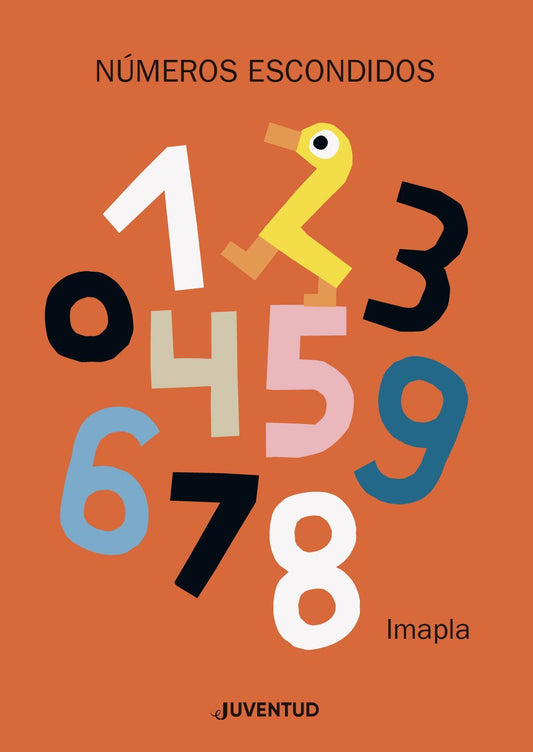 Libro Números Escondidos