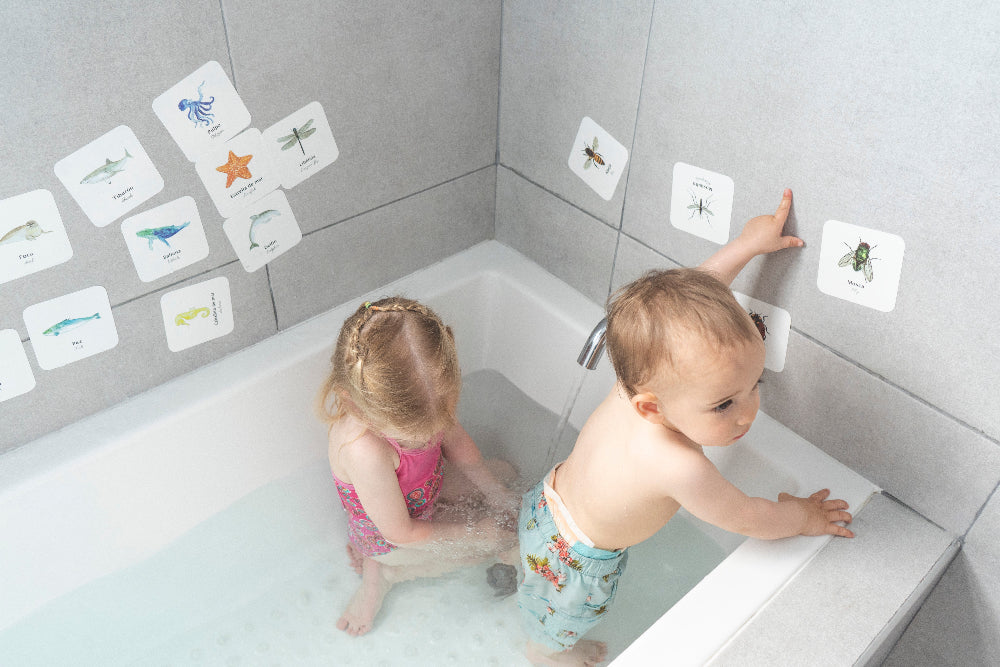 Flashcards Insectos Impermeables