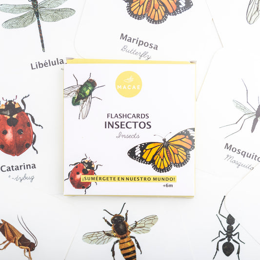 Flashcards Insectos Impermeables