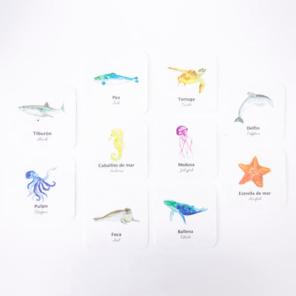 Flashcards Animales del Mar Impermeables